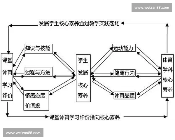 以体育教育模式为核心的青少年全面发展与健康素养培养路径研究